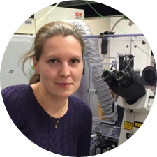 Irina B Tsvetkova Ph.D.